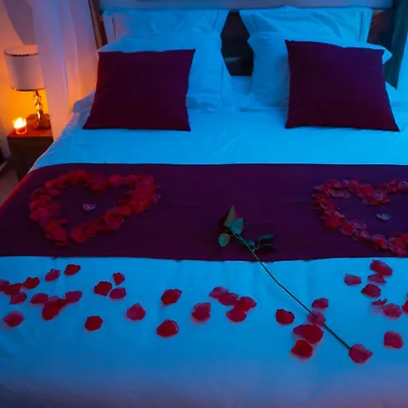Romantique Lmf Intérieur Piscine Privés Jardin Et Lit King Size Villa Rousson (Gard)